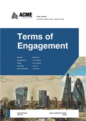 Terms of Engagement sample report